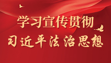 學習宣傳貫徹習近平法治思想